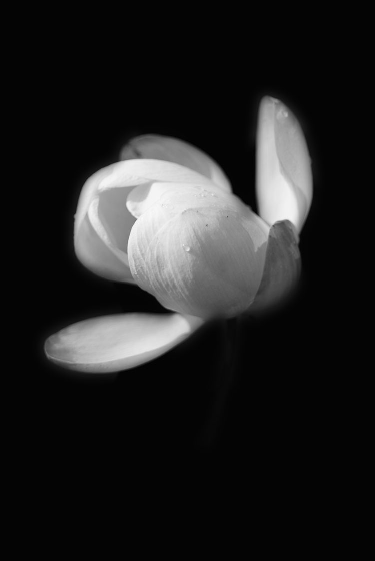 <br />
<b>Warning</b>:  Undefined variable $attachimentID in <b>/home/studiohas/has-couture.jp/public_html/wp-content/themes/HAS_Couture_2025_0604/template/archive/archive-case.php</b> on line <b>93</b><br />
