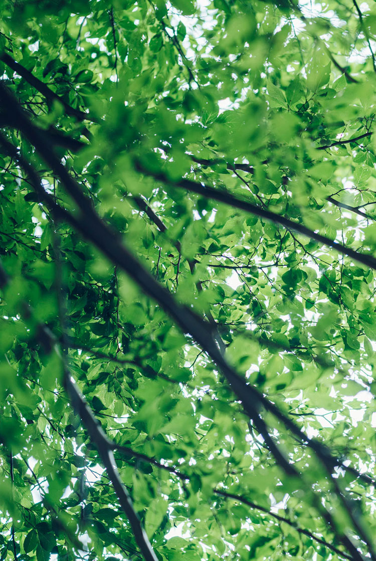 <br />
<b>Warning</b>:  Undefined variable $attachimentID in <b>/home/studiohas/has-couture.jp/public_html/wp-content/themes/HAS_Couture_2025_0604/template/archive/archive-case.php</b> on line <b>93</b><br />
